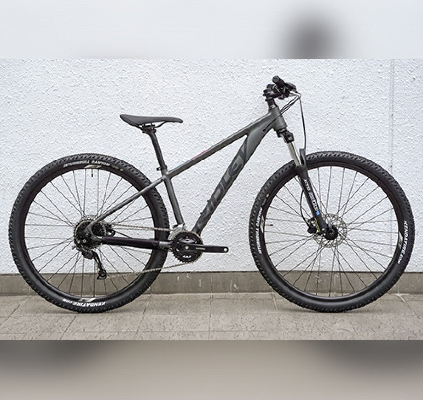 ridley mountainbike RIDLEY BLAST 29 Alloy x Alivio/ Altus Mix